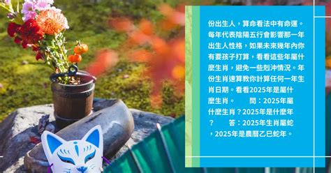 2025是什麼年|【2025 是什麼年】直擊2025！生肖運勢、干支紀年全。